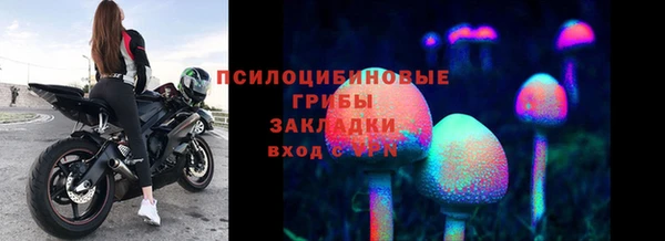 СК Алексин