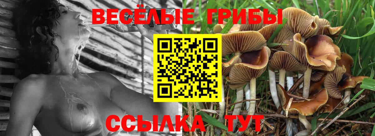Галлюциногенные грибы мухоморы  Псилоцибиновые грибы ЛСД  Подольск  Вход с VPN 